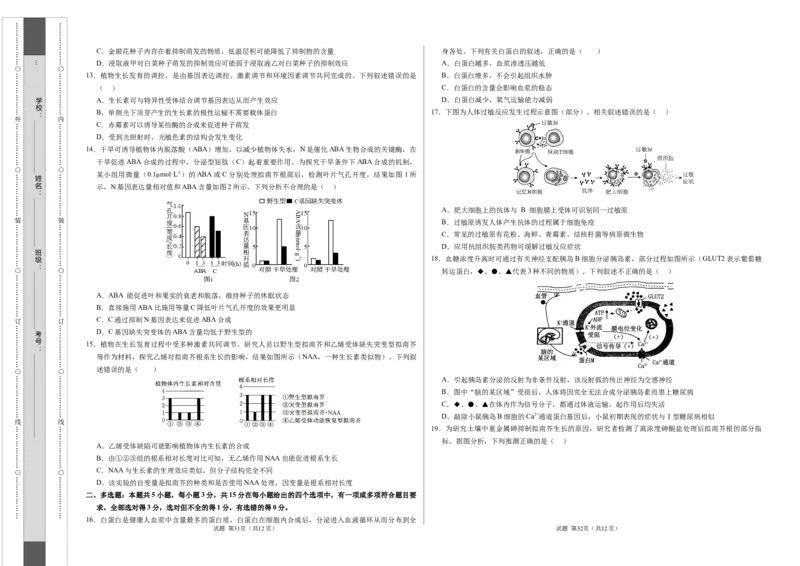 高二生物期中模拟卷（考试版A3）（新八省通用）(1)_1多考区联考_1014高二期中模拟卷（新八省专用）黄金卷：2024-2025学年高二上学期期中模拟考试