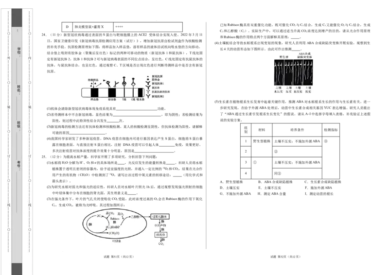 高二生物期中模拟卷（考试版A3）（新八省通用）(1)_1多考区联考_1014高二期中模拟卷（新八省专用）黄金卷：2024-2025学年高二上学期期中模拟考试