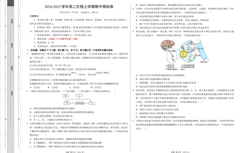 高二生物期中模拟卷（考试版A3）（新八省通用）(1)_1多考区联考_1014高二期中模拟卷（新八省专用）黄金卷：2024-2025学年高二上学期期中模拟考试