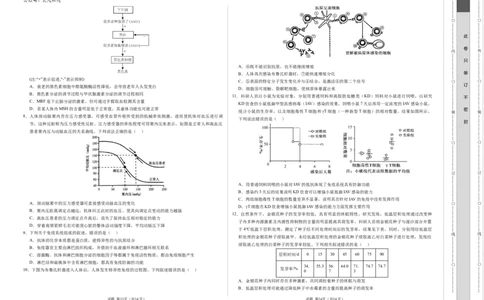 高二生物期中模拟卷（考试版A3）（新八省通用）(1)_1多考区联考_1014高二期中模拟卷（新八省专用）黄金卷：2024-2025学年高二上学期期中模拟考试