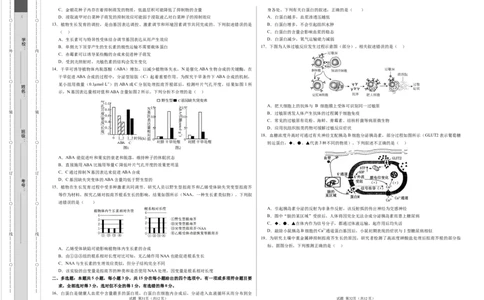 高二生物期中模拟卷（考试版A3）（新八省通用）(1)_1多考区联考_1014高二期中模拟卷（新八省专用）黄金卷：2024-2025学年高二上学期期中模拟考试