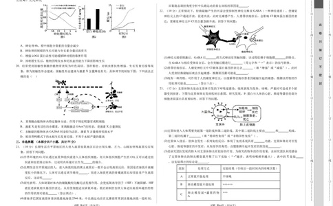 高二生物期中模拟卷（考试版A3）（新八省通用）(1)_1多考区联考_1014高二期中模拟卷（新八省专用）黄金卷：2024-2025学年高二上学期期中模拟考试
