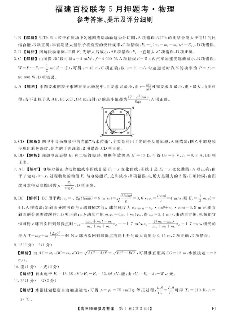 福建百校联考2025届高三5月押题考试-物理试卷（含答案）_2025年5月_250527福建百校联考2025届高三5月押题考试