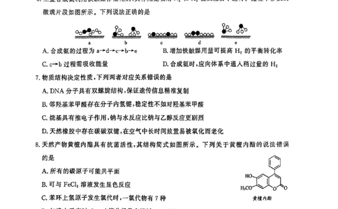 山东省济南市2024-2025学年高三上学期1月期末考试+化学试题(1)_2025年1月_250119山东省济南市2024-2025学年高三上学期1月期末学习质量检测（全科）