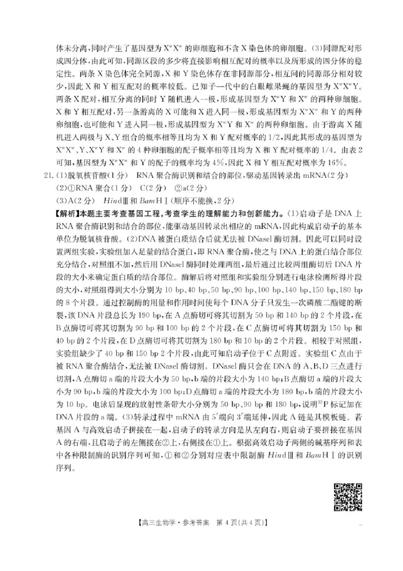 江西省三新教研共同体2024-2025学年高三下学期3月联考生物试题+答案_2025年3月_250326江西省金太阳三新教研共同体2025届高三3月联考（全科）