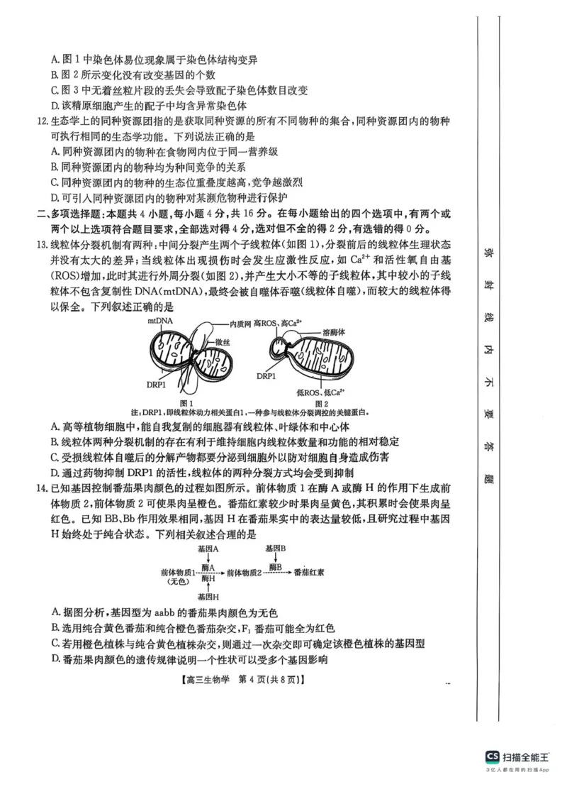 江西省三新教研共同体2024-2025学年高三下学期3月联考生物试题+答案_2025年3月_250326江西省金太阳三新教研共同体2025届高三3月联考（全科）