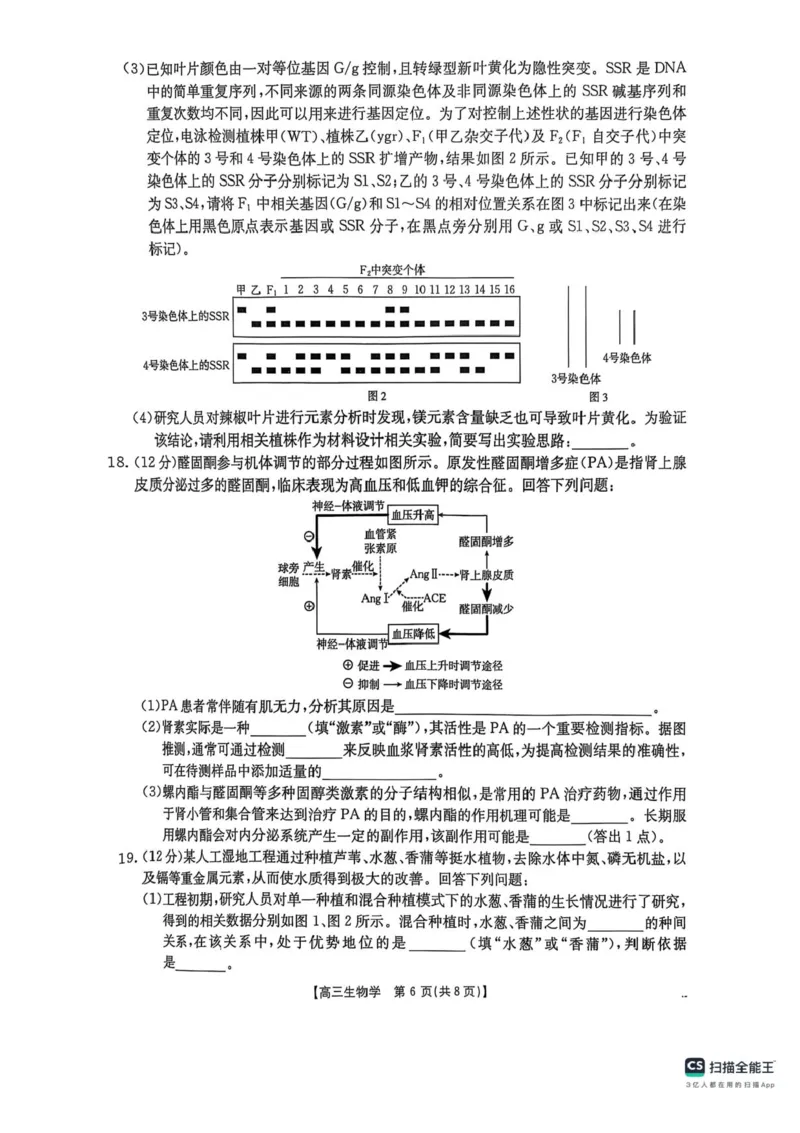 江西省三新教研共同体2024-2025学年高三下学期3月联考生物试题+答案_2025年3月_250326江西省金太阳三新教研共同体2025届高三3月联考（全科）