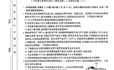 江西省三新教研共同体2024-2025学年高三下学期3月联考生物试题+答案_2025年3月_250326江西省金太阳三新教研共同体2025届高三3月联考（全科）