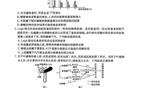 江西省三新教研共同体2024-2025学年高三下学期3月联考生物试题+答案_2025年3月_250326江西省金太阳三新教研共同体2025届高三3月联考（全科）