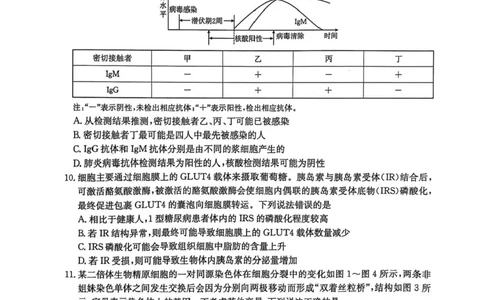 江西省三新教研共同体2024-2025学年高三下学期3月联考生物试题+答案_2025年3月_250326江西省金太阳三新教研共同体2025届高三3月联考（全科）