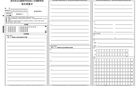 武汉市2025届高中毕业生二月调研考试语文答题卡_2025年2月_250226湖北省武汉市2025届高中毕业生二月调研考试