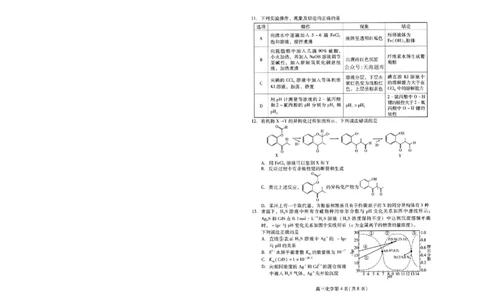 山东省潍坊市2025届高三高考模拟考试化学_2025年5月_0501山东省潍坊市2025届高三高考模拟考试（潍坊二模）（全科）_山东省潍坊市2025届高三高考模拟考试化学