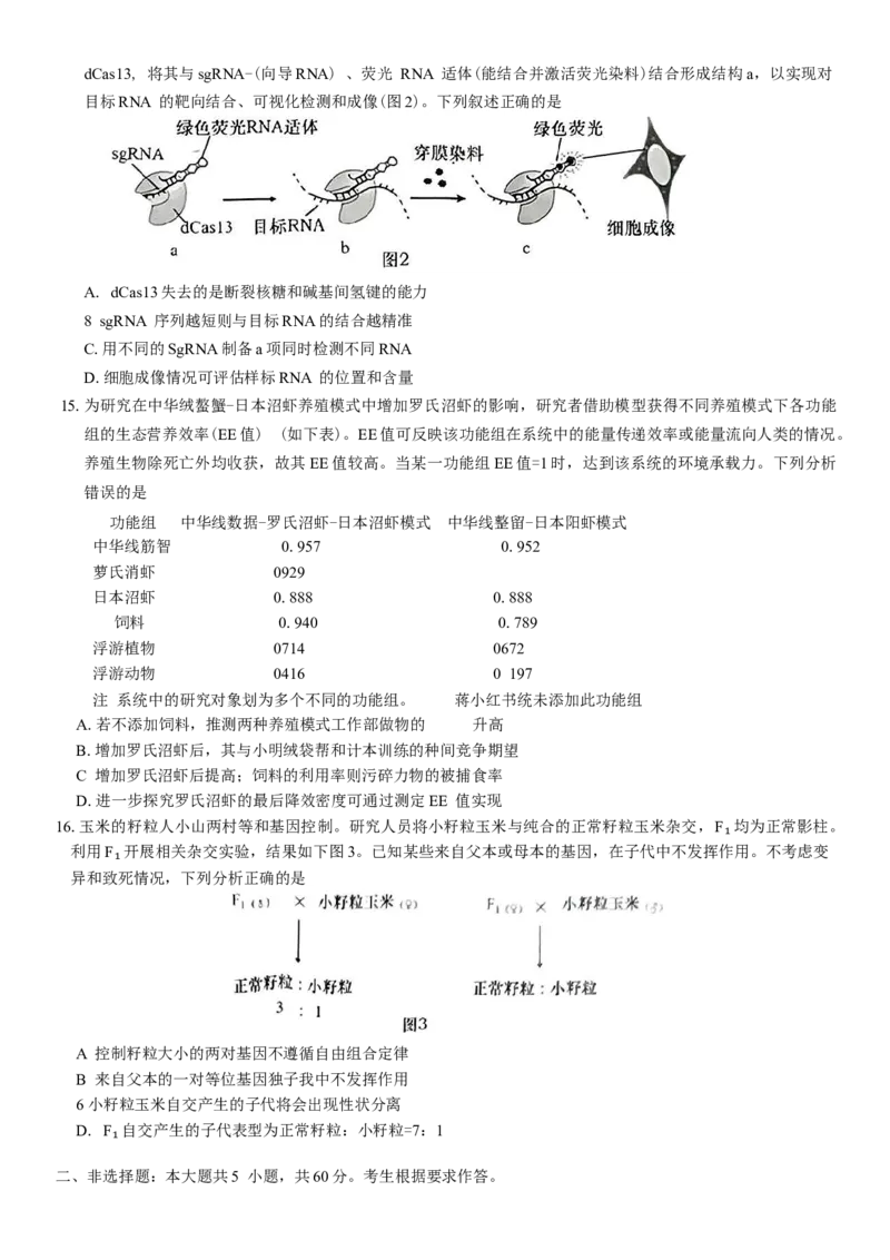 广东省汕头市2024-2025学年高三下学期第一次模拟考试生物学试题（含答案）_2025年2月_250224广东省汕头市2025届高三下学期第一次模拟考试（全科）