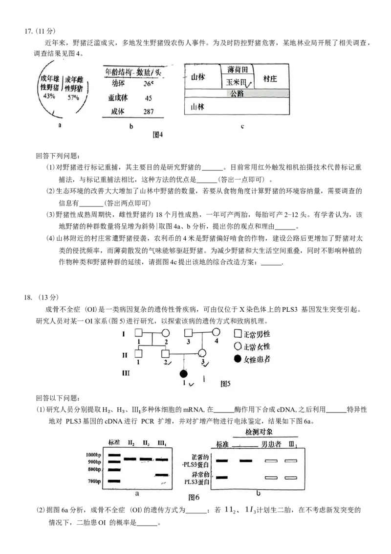 广东省汕头市2024-2025学年高三下学期第一次模拟考试生物学试题（含答案）_2025年2月_250224广东省汕头市2025届高三下学期第一次模拟考试（全科）