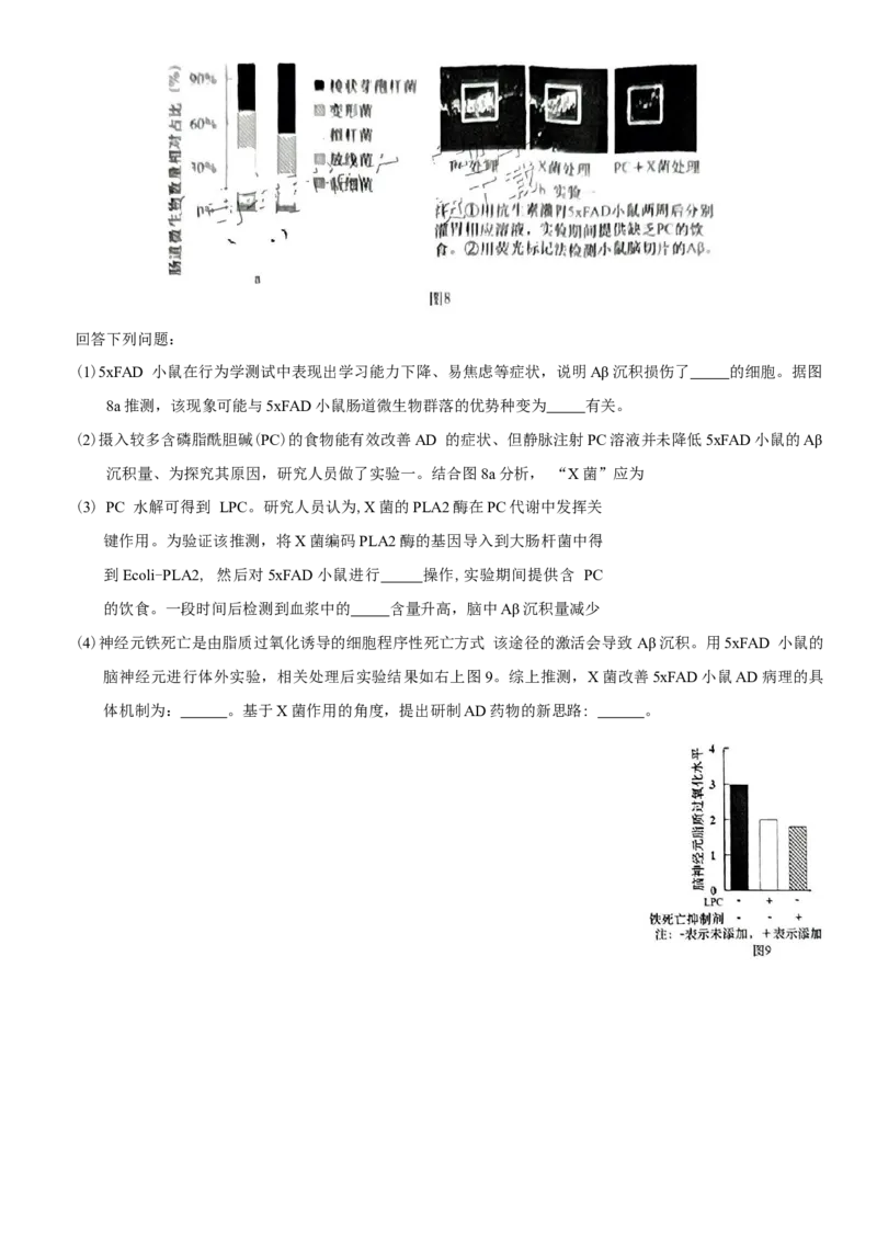 广东省汕头市2024-2025学年高三下学期第一次模拟考试生物学试题（含答案）_2025年2月_250224广东省汕头市2025届高三下学期第一次模拟考试（全科）