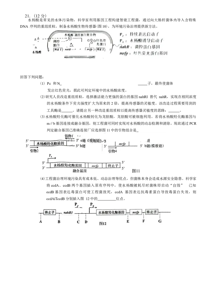 广东省汕头市2024-2025学年高三下学期第一次模拟考试生物学试题（含答案）_2025年2月_250224广东省汕头市2025届高三下学期第一次模拟考试（全科）