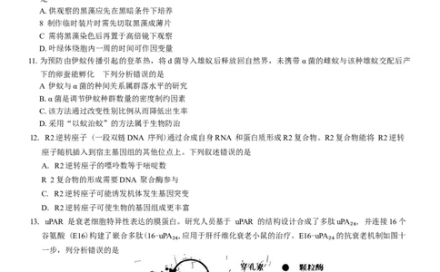 广东省汕头市2024-2025学年高三下学期第一次模拟考试生物学试题（含答案）_2025年2月_250224广东省汕头市2025届高三下学期第一次模拟考试（全科）