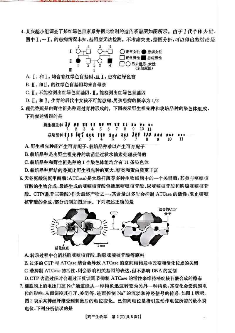 青海省金太阳2025届高三12月联考生物_2025年1月_250101青海省金太阳2025届高三12月联考（全科）
