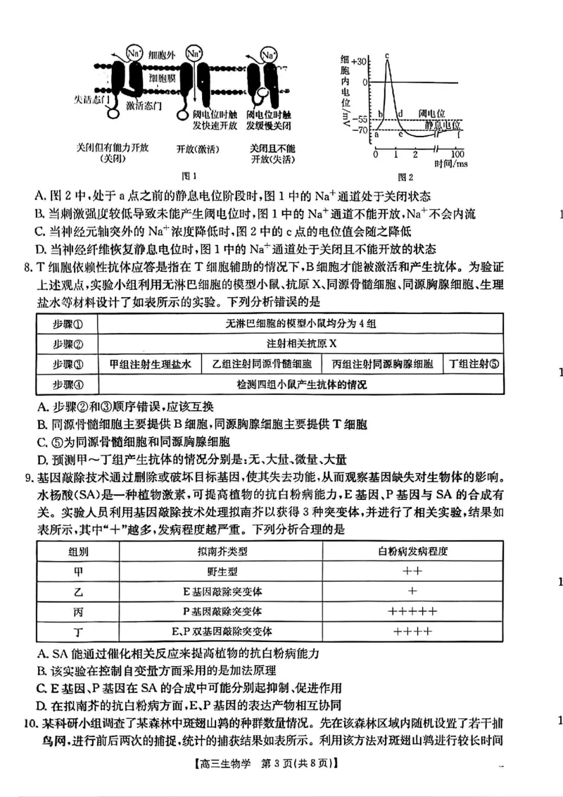 青海省金太阳2025届高三12月联考生物_2025年1月_250101青海省金太阳2025届高三12月联考（全科）