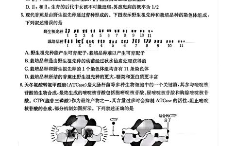 青海省金太阳2025届高三12月联考生物_2025年1月_250101青海省金太阳2025届高三12月联考（全科）