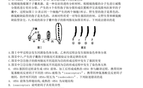 生物试卷_2025年1月_250108湖北省部分市州2025年元月高三期末联考（全科）_湖北省部分市州2025年元月高三期末联考生物