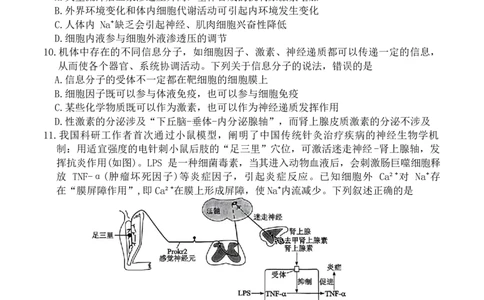 生物试卷_2025年1月_250108湖北省部分市州2025年元月高三期末联考（全科）_湖北省部分市州2025年元月高三期末联考生物