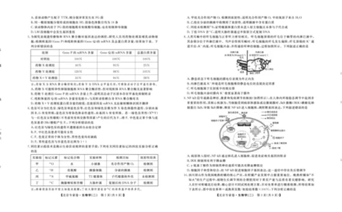 北京专家卷&middot;押题卷（二）生物_2025年5月_250528四川省2025届高三北京专家卷&middot;押题卷（二）（全科）