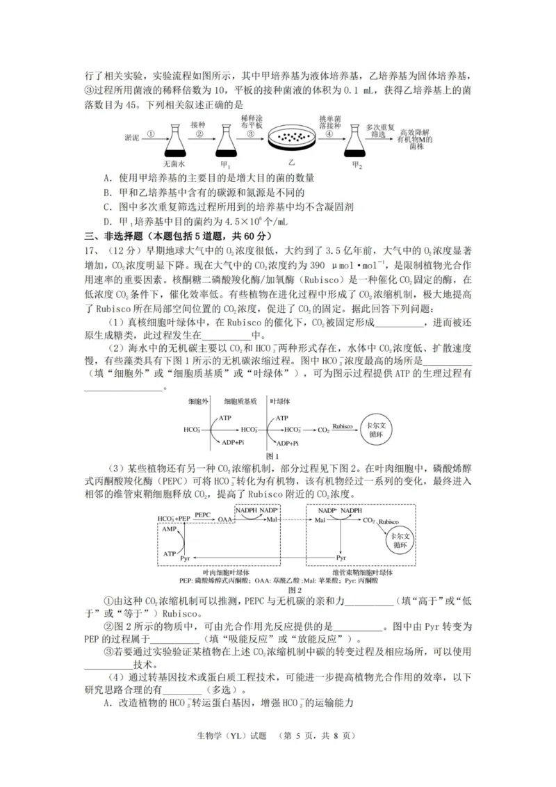 生物（YL）_2025年1月_250107湖南省长沙市雅礼中学2024-2025学年高三上学期1月综合自主测试（期末）_湖南省长沙市雅礼中学2024-2025学年高三上学期1月综合自主测试生物
