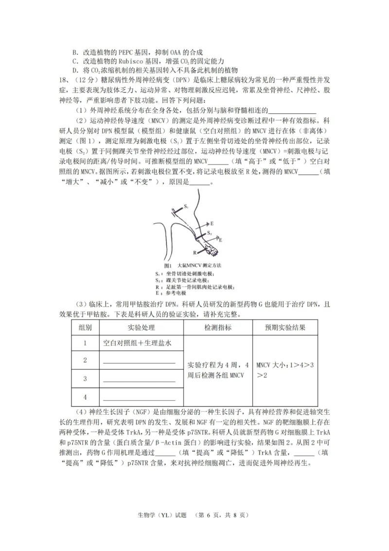 生物（YL）_2025年1月_250107湖南省长沙市雅礼中学2024-2025学年高三上学期1月综合自主测试（期末）_湖南省长沙市雅礼中学2024-2025学年高三上学期1月综合自主测试生物