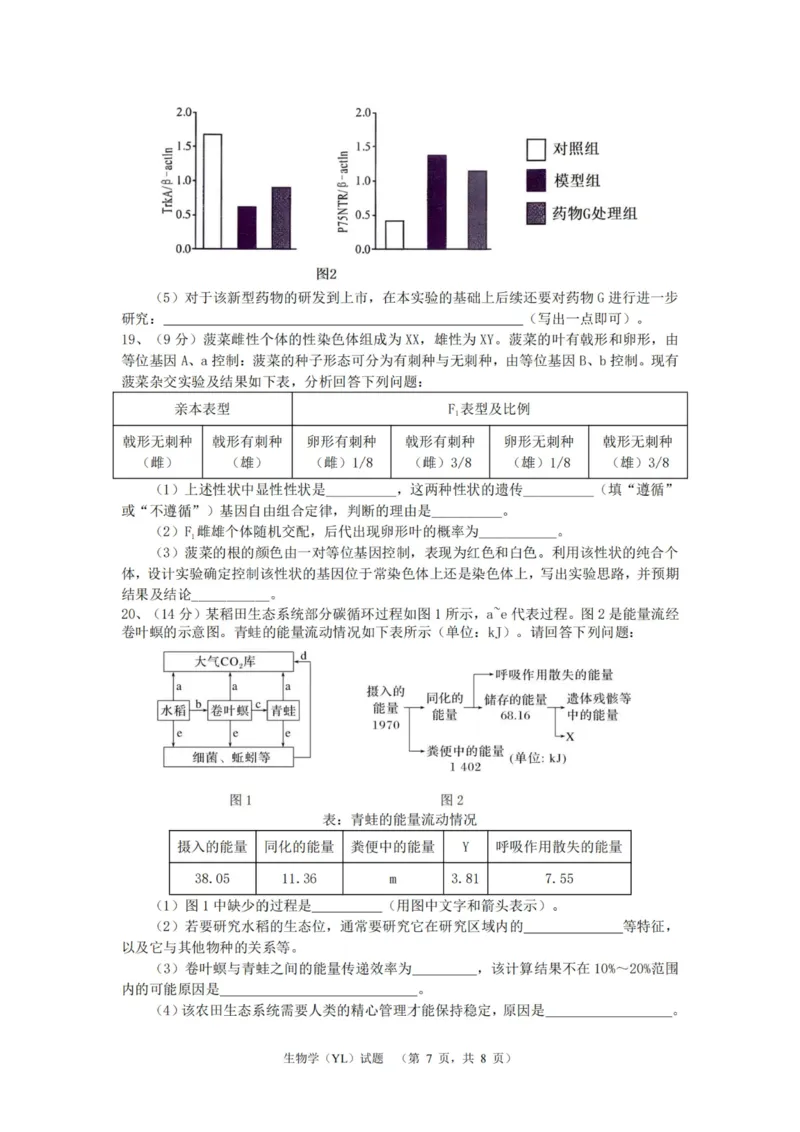 生物（YL）_2025年1月_250107湖南省长沙市雅礼中学2024-2025学年高三上学期1月综合自主测试（期末）_湖南省长沙市雅礼中学2024-2025学年高三上学期1月综合自主测试生物