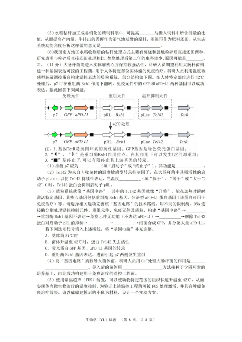 生物（YL）_2025年1月_250107湖南省长沙市雅礼中学2024-2025学年高三上学期1月综合自主测试（期末）_湖南省长沙市雅礼中学2024-2025学年高三上学期1月综合自主测试生物