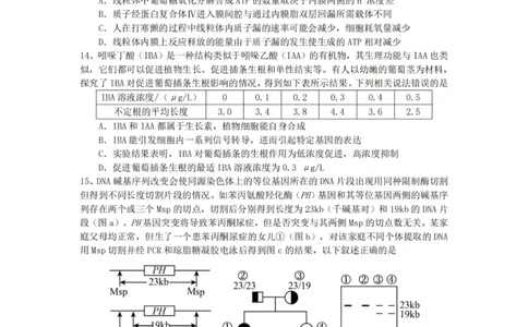 生物（YL）_2025年1月_250107湖南省长沙市雅礼中学2024-2025学年高三上学期1月综合自主测试（期末）_湖南省长沙市雅礼中学2024-2025学年高三上学期1月综合自主测试生物