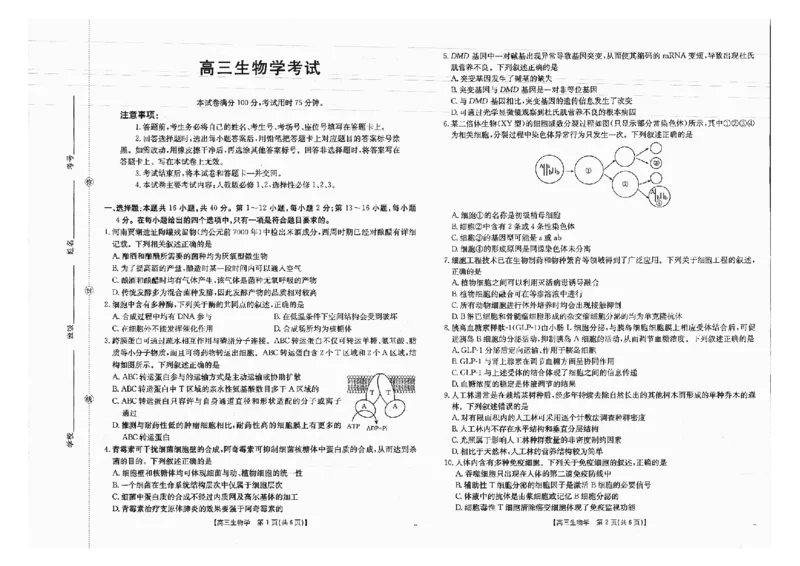 广西金太阳部分学校2025-2026学年上学期开学考-生物试卷_2025年8月_250807广西金太阳2025-2026学年上学期开学考（全科）