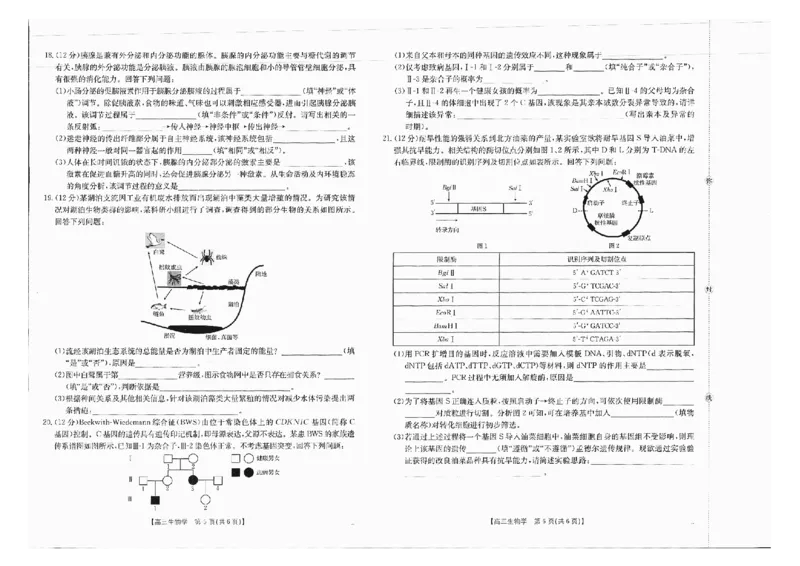 广西金太阳部分学校2025-2026学年上学期开学考-生物试卷_2025年8月_250807广西金太阳2025-2026学年上学期开学考（全科）