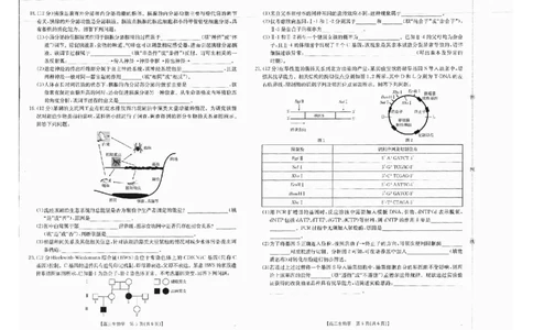 广西金太阳部分学校2025-2026学年上学期开学考-生物试卷_2025年8月_250807广西金太阳2025-2026学年上学期开学考（全科）