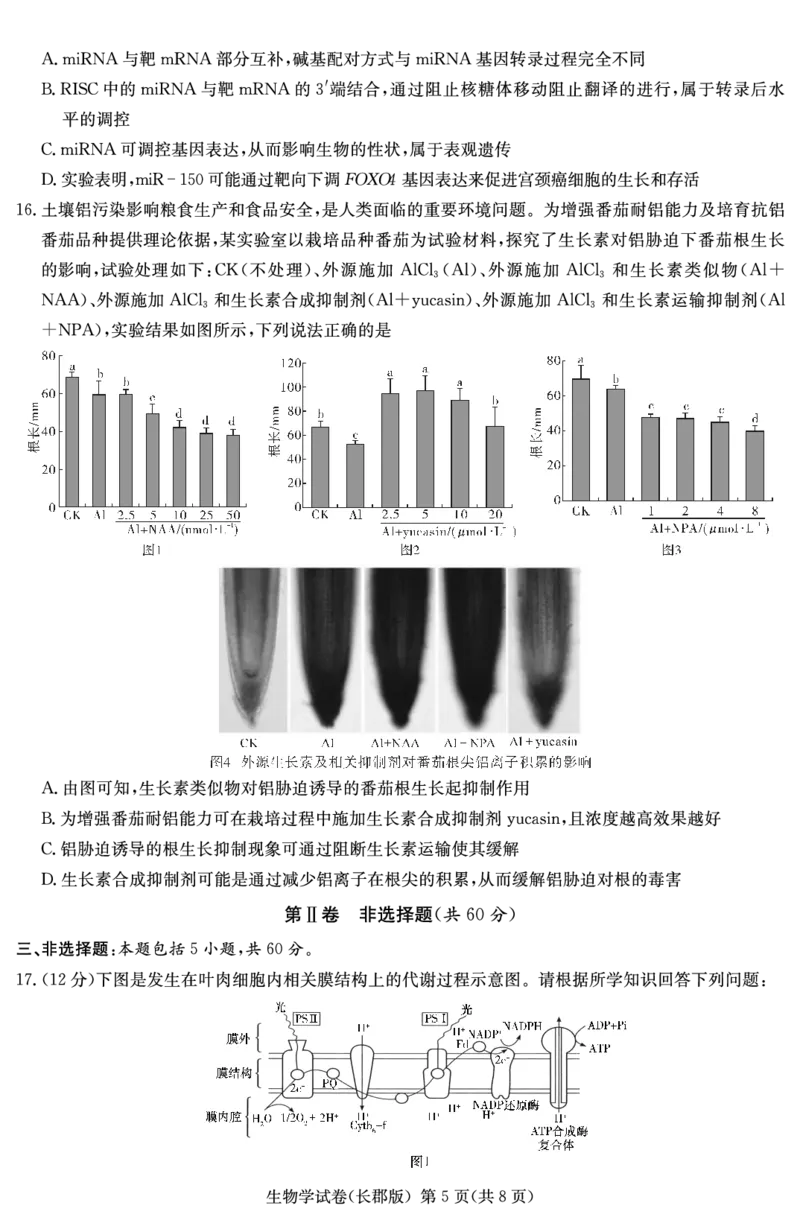 湖南省炎德&middot;英才大联考长郡中学2025届高三月考试卷（七）生物_2025年3月_250315湖南省炎德&middot;英才大联考长郡中学2025届高三月考试卷（七）