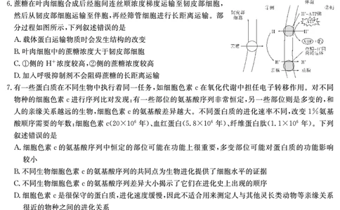 湖南省炎德&middot;英才大联考长郡中学2025届高三月考试卷（七）生物_2025年3月_250315湖南省炎德&middot;英才大联考长郡中学2025届高三月考试卷（七）