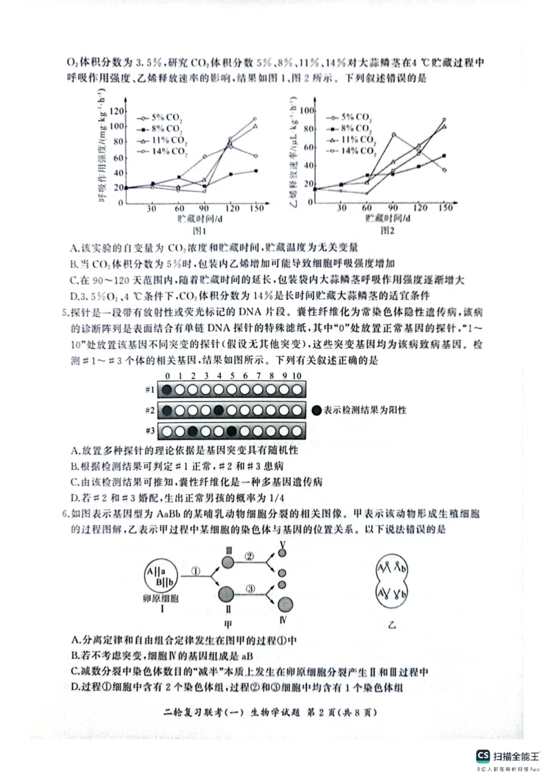 百师联盟2025届高三二轮复习联考（一）（百A）生物_2025年3月_250329百师联盟2025届高三二轮复习联考（一）（全科）_百师联盟2025届高三二轮复习联考（一）生物