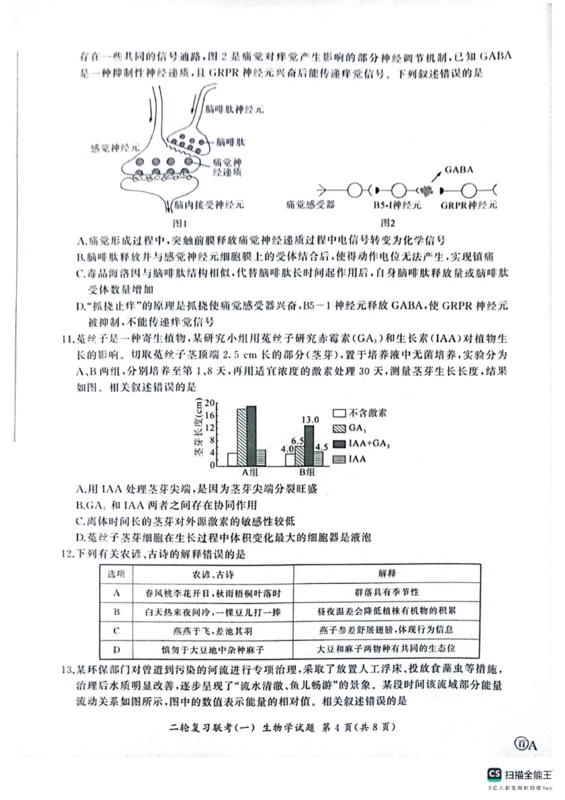 百师联盟2025届高三二轮复习联考（一）（百A）生物_2025年3月_250329百师联盟2025届高三二轮复习联考（一）（全科）_百师联盟2025届高三二轮复习联考（一）生物