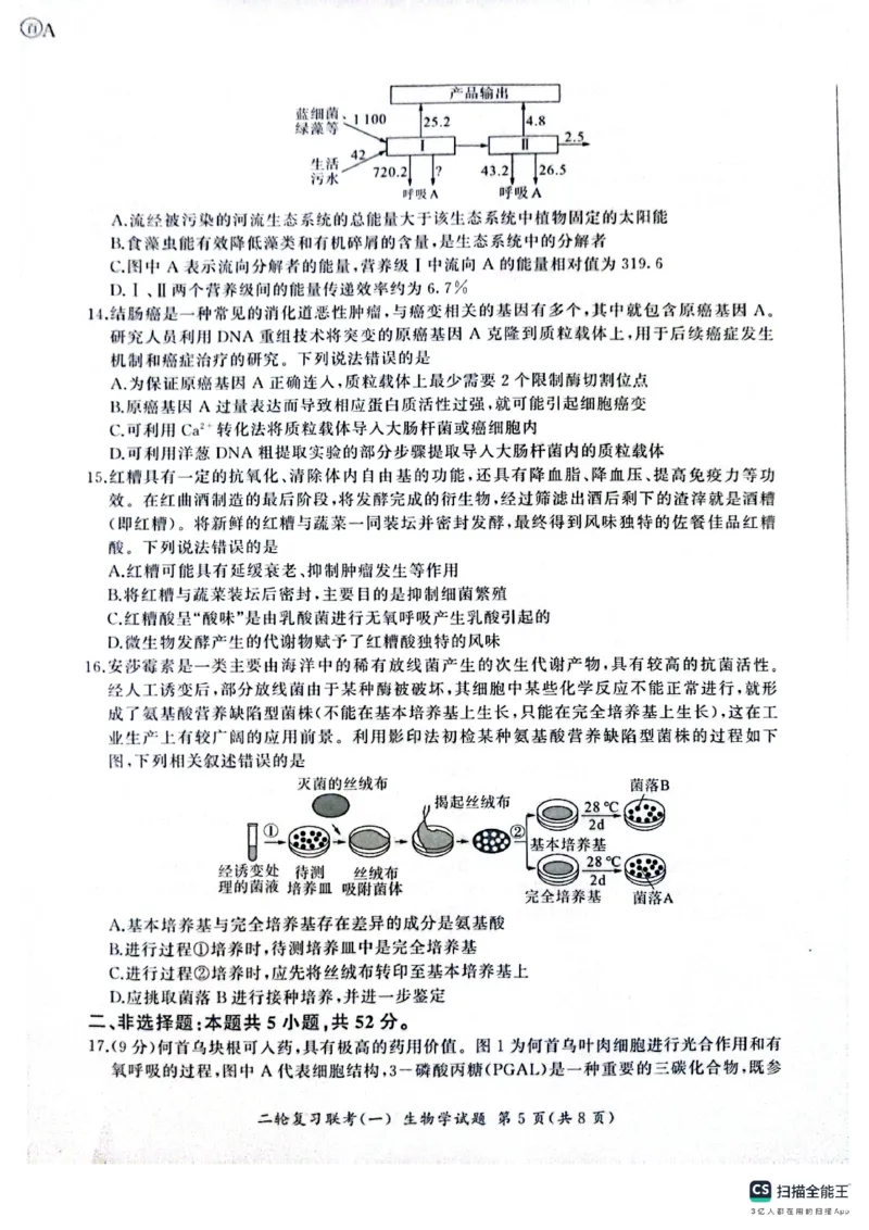 百师联盟2025届高三二轮复习联考（一）（百A）生物_2025年3月_250329百师联盟2025届高三二轮复习联考（一）（全科）_百师联盟2025届高三二轮复习联考（一）生物