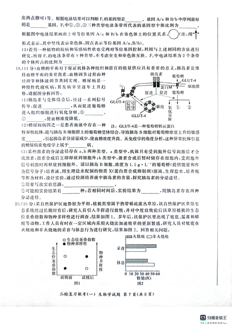 百师联盟2025届高三二轮复习联考（一）（百A）生物_2025年3月_250329百师联盟2025届高三二轮复习联考（一）（全科）_百师联盟2025届高三二轮复习联考（一）生物