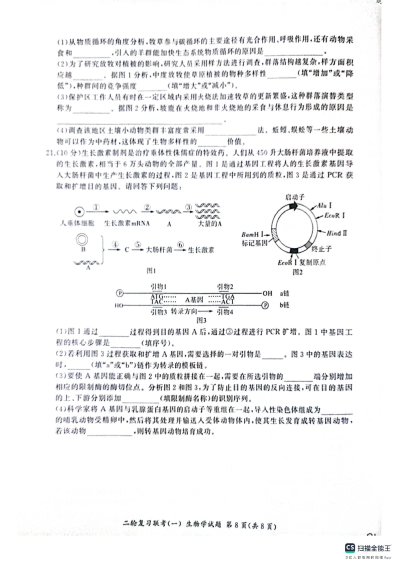 百师联盟2025届高三二轮复习联考（一）（百A）生物_2025年3月_250329百师联盟2025届高三二轮复习联考（一）（全科）_百师联盟2025届高三二轮复习联考（一）生物