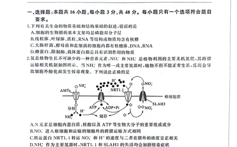 百师联盟2025届高三二轮复习联考（一）（百A）生物_2025年3月_250329百师联盟2025届高三二轮复习联考（一）（全科）_百师联盟2025届高三二轮复习联考（一）生物