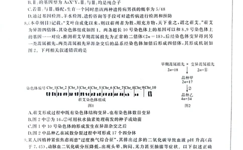 百师联盟2025届高三二轮复习联考（一）（百A）生物_2025年3月_250329百师联盟2025届高三二轮复习联考（一）（全科）_百师联盟2025届高三二轮复习联考（一）生物