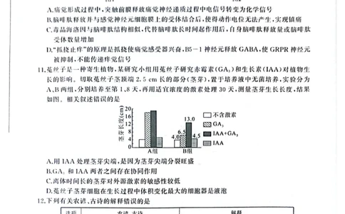 百师联盟2025届高三二轮复习联考（一）（百A）生物_2025年3月_250329百师联盟2025届高三二轮复习联考（一）（全科）_百师联盟2025届高三二轮复习联考（一）生物