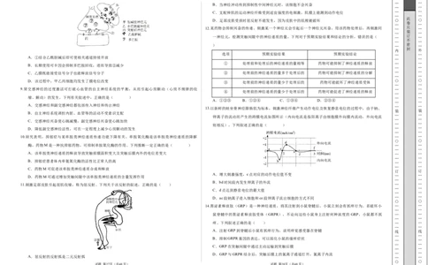 高二生物上学期第一次月考02测试范围：第1-2章（考试版A3）（人教版2019）_1多考区联考试卷_2510142025-2026学年高二生物上学期第一次月考试题