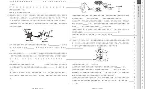 高二生物上学期第一次月考02测试范围：第1-2章（考试版A3）（人教版2019）_1多考区联考试卷_2510142025-2026学年高二生物上学期第一次月考试题