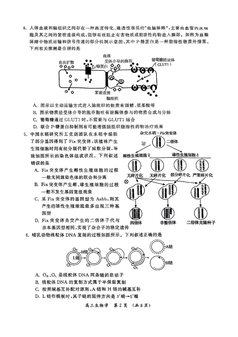 生物_2025年3月_250320河南三市（开封市、周口市、商丘市）2025届高三年级第二次质量检测（全科）_河南三市2025届高三年级第二次质量检测生物