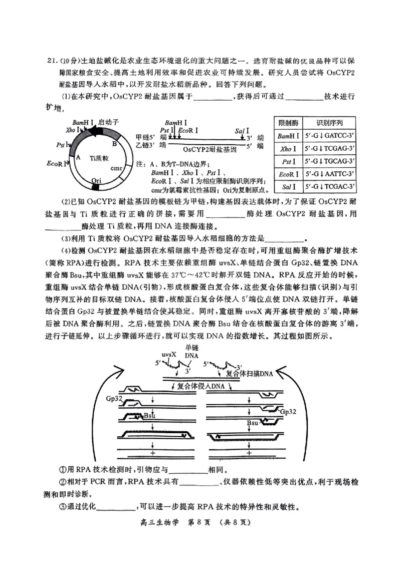 生物_2025年3月_250320河南三市（开封市、周口市、商丘市）2025届高三年级第二次质量检测（全科）_河南三市2025届高三年级第二次质量检测生物