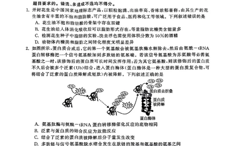 生物_2025年3月_250320河南三市（开封市、周口市、商丘市）2025届高三年级第二次质量检测（全科）_河南三市2025届高三年级第二次质量检测生物